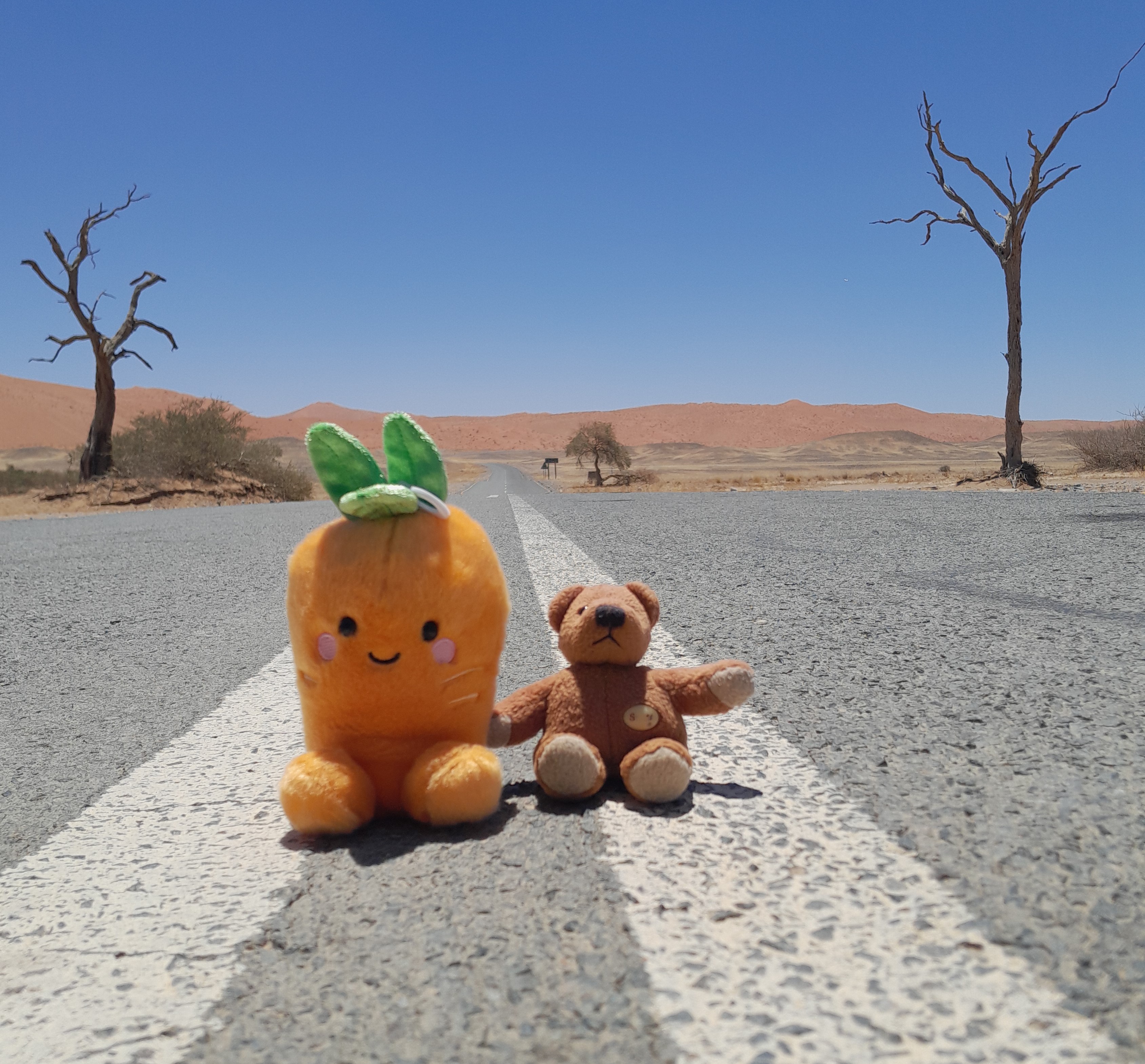 Carrots & Bears On Tour